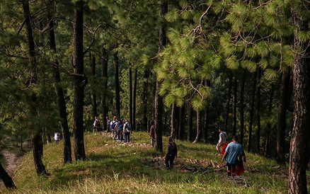 Hikers on scenic exploration routes through forest