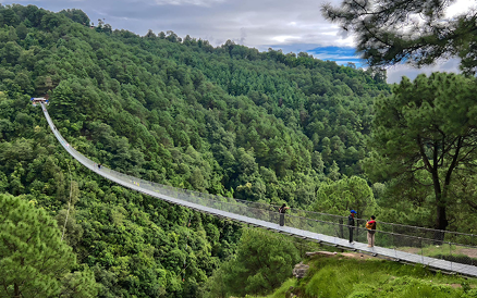 Hikers on scenic exploration routes through forest